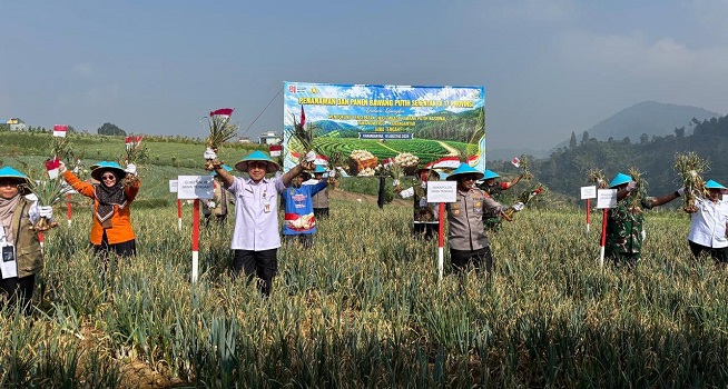 Wakapolda Jateng Panen 1,25 Ton Bawang Putih di Tawangmangu, Dukung Ketahanan Pangan Nasional